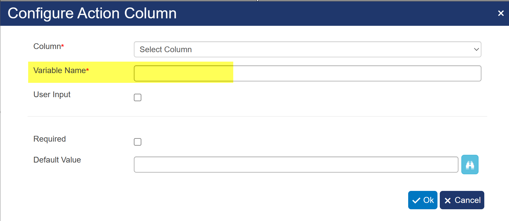 Column Mapping for Input form